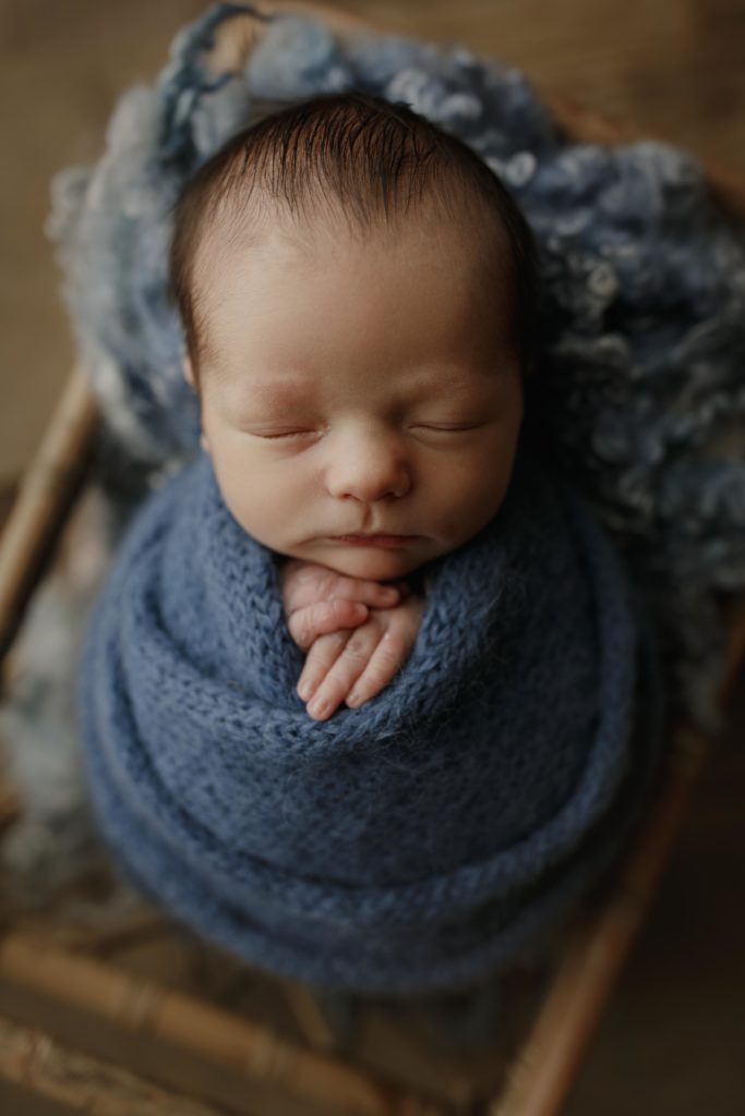 newborn photography louisville